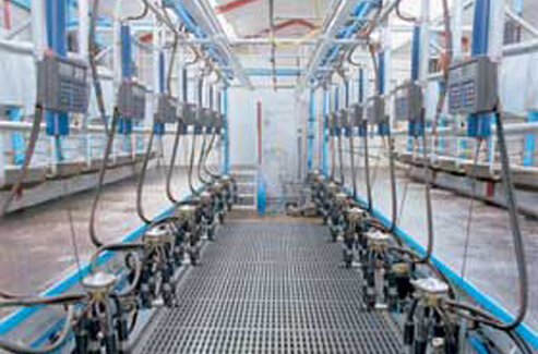 Automatisches Melken (Melkroboter) Automatisches Melken (Melkroboter)